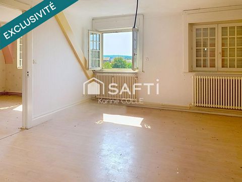Spacieux appartement dans immeuble de caractère