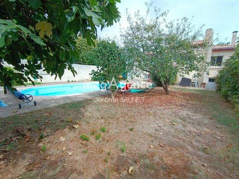 photo no. 12