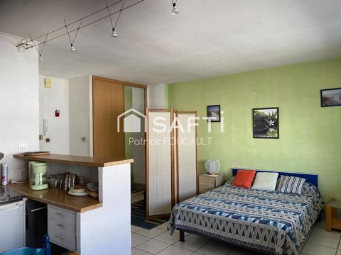 photo no. 5