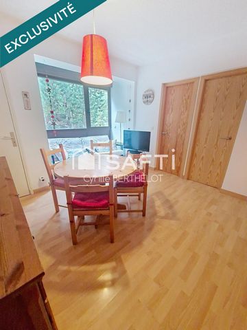 *Appartement 2 chambres – Les Angles – 50 m des pistes**