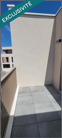 photo no. 8