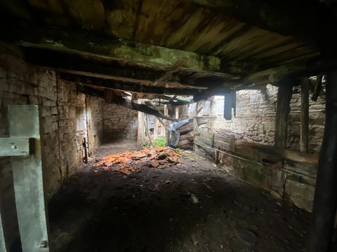 photo no. 3
