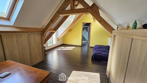 photo no. 13
