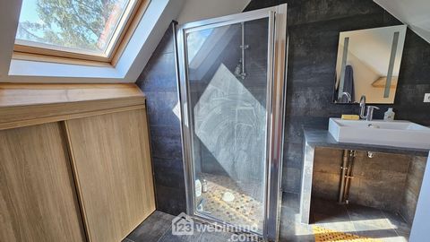 photo no. 14