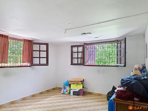 photo no. 7