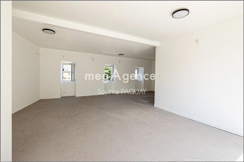 photo no. 12