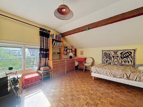 photo no. 8
