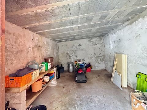 photo no. 12