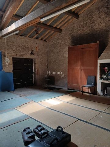 photo no. 9