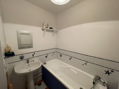 photo no. 9