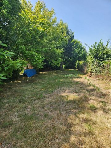 photo no. 17