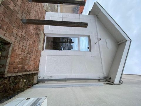 photo no. 2