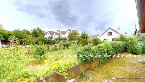 photo no. 17