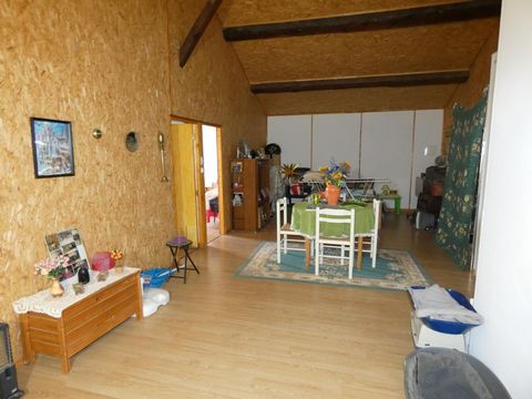 photo no. 6