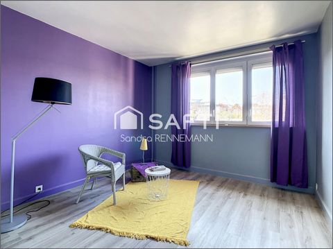 photo no. 5