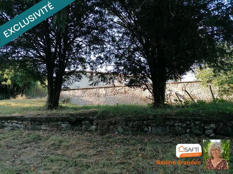 photo no. 4