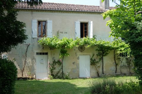 photo no. 25