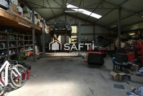 photo no. 11