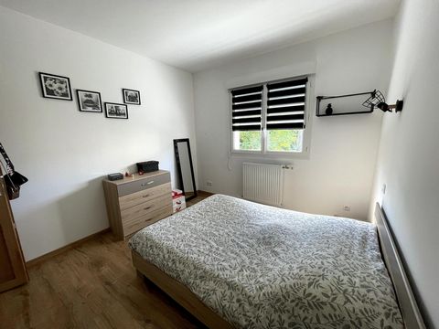 photo no. 11