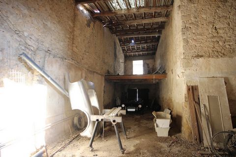 photo no. 9