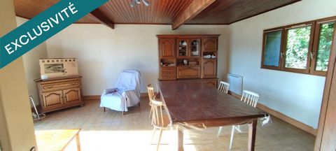 photo no. 6