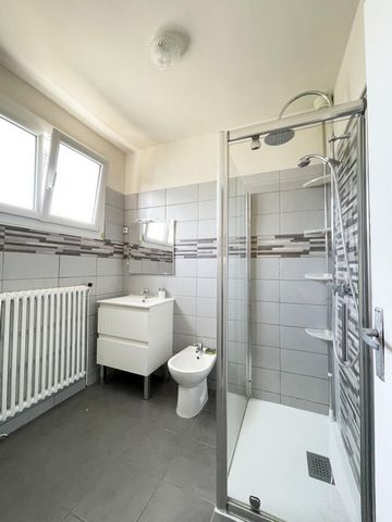 photo no. 7