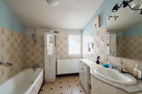 photo no. 9
