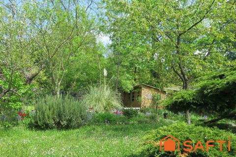 photo no. 10