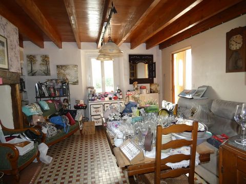 photo no. 5