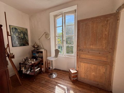 photo no. 11