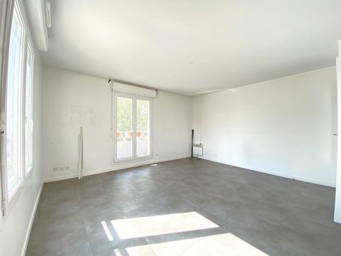 photo no. 4