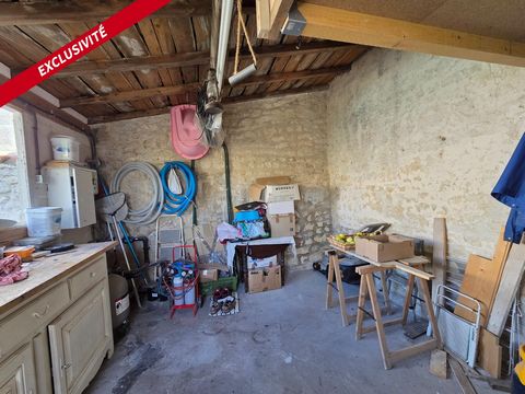 photo no. 15