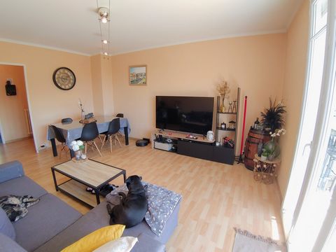 photo no. 17