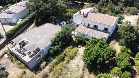 photo no. 2