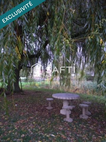 photo no. 7
