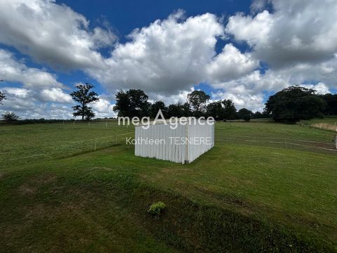 photo no. 13