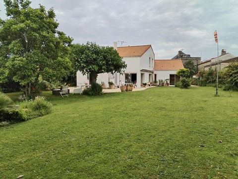 photo no. 8