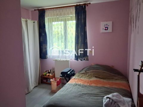 photo no. 6