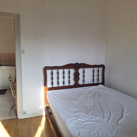 photo no. 6