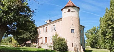 Domaine Manoir agricole à réimaginer sur Castelnau-de- Montmiral