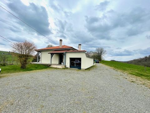 photo no. 16