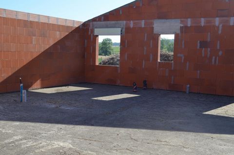 photo no. 6