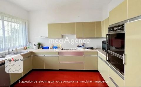 photo no. 8