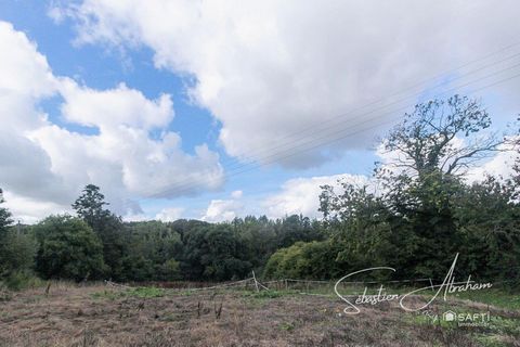 photo no. 2