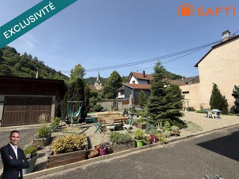 photo no. 15