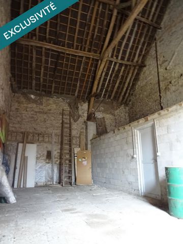 photo no. 10
