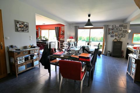 photo no. 6