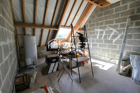 photo no. 11