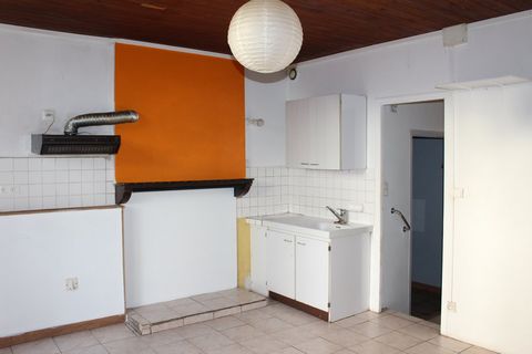 photo no. 8