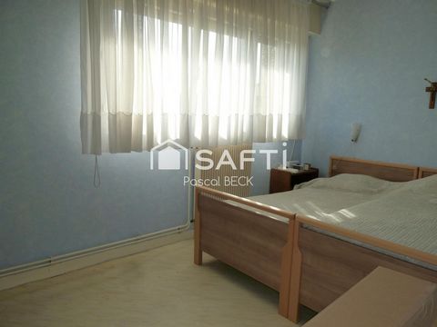 photo no. 11